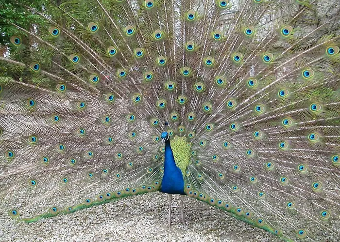Manoir De La Marjolaine Cabourg