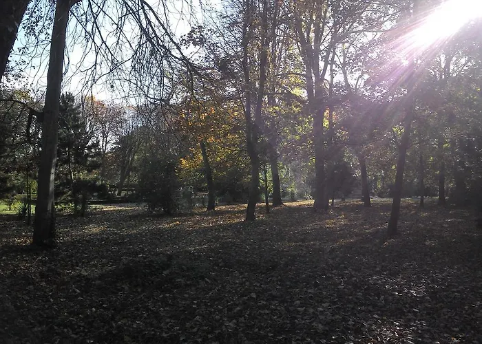 Manoir De La Marjolaine B&B